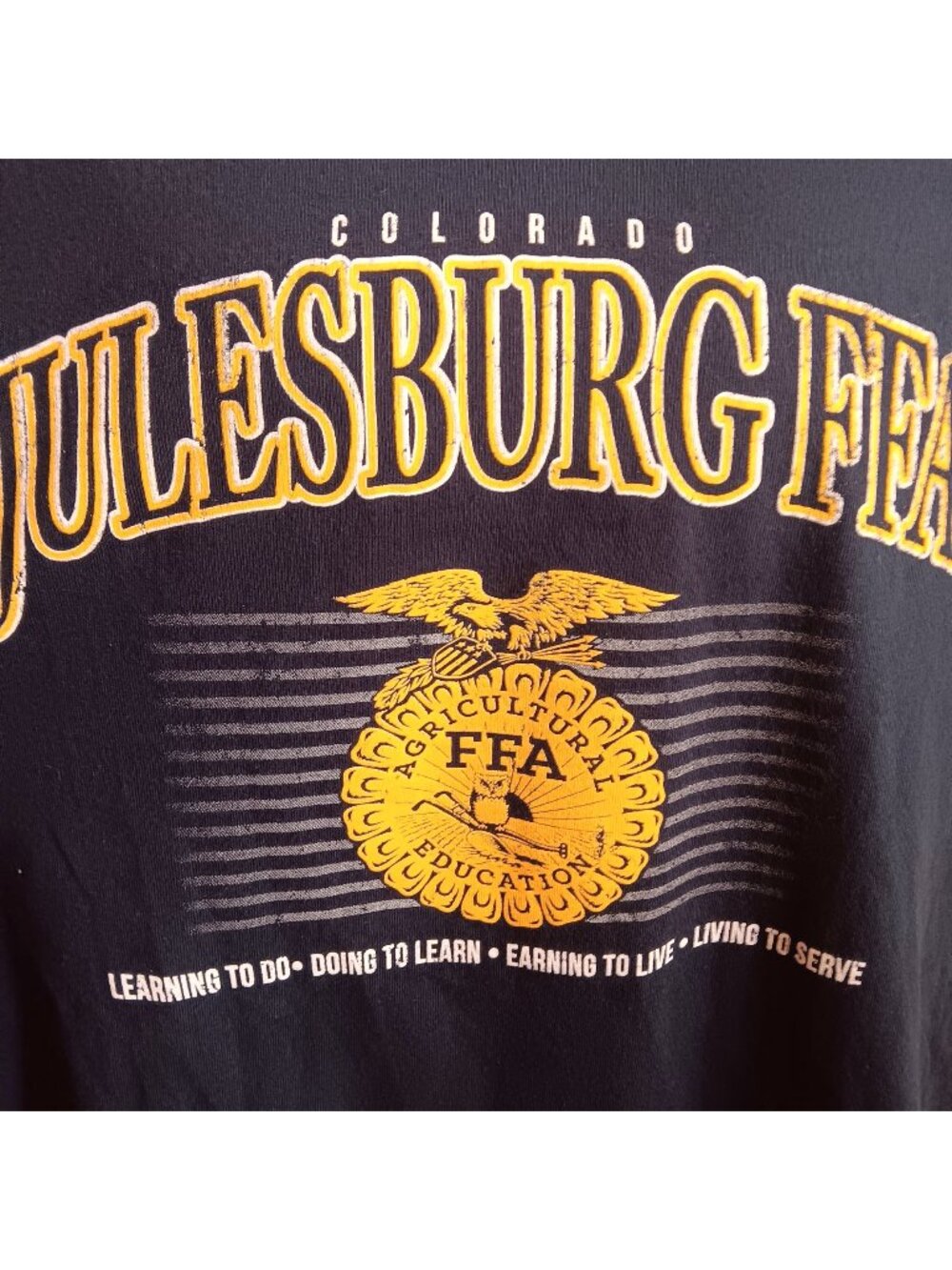 Julesburg Colorado FFA XXL Vintage T-shirt Farm Agriculture Logo 1990's Blue 2XL